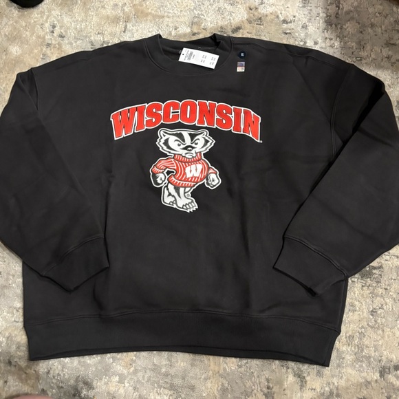 NWT Hollister Boxy University of Wisconsin Graphic Crew Sweatshirt Size XL - Picture 3 of 10